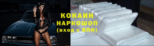 a pvp Бородино
