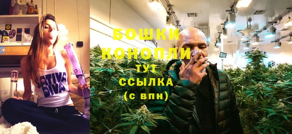 a pvp Бородино