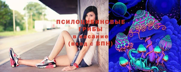 ешки Бронницы