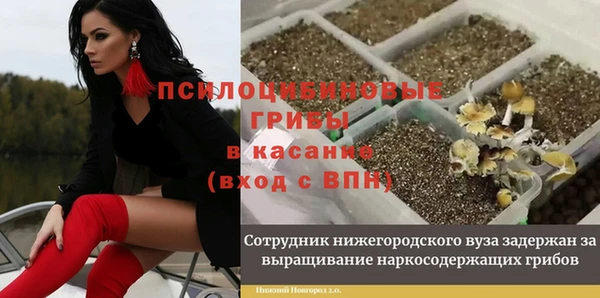 ешки Бронницы