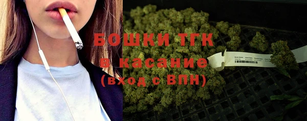 a pvp Бородино