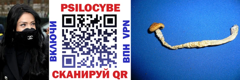 KRAKEN ССЫЛКА Дзержинский Галлюциногенные грибы Psilocybe